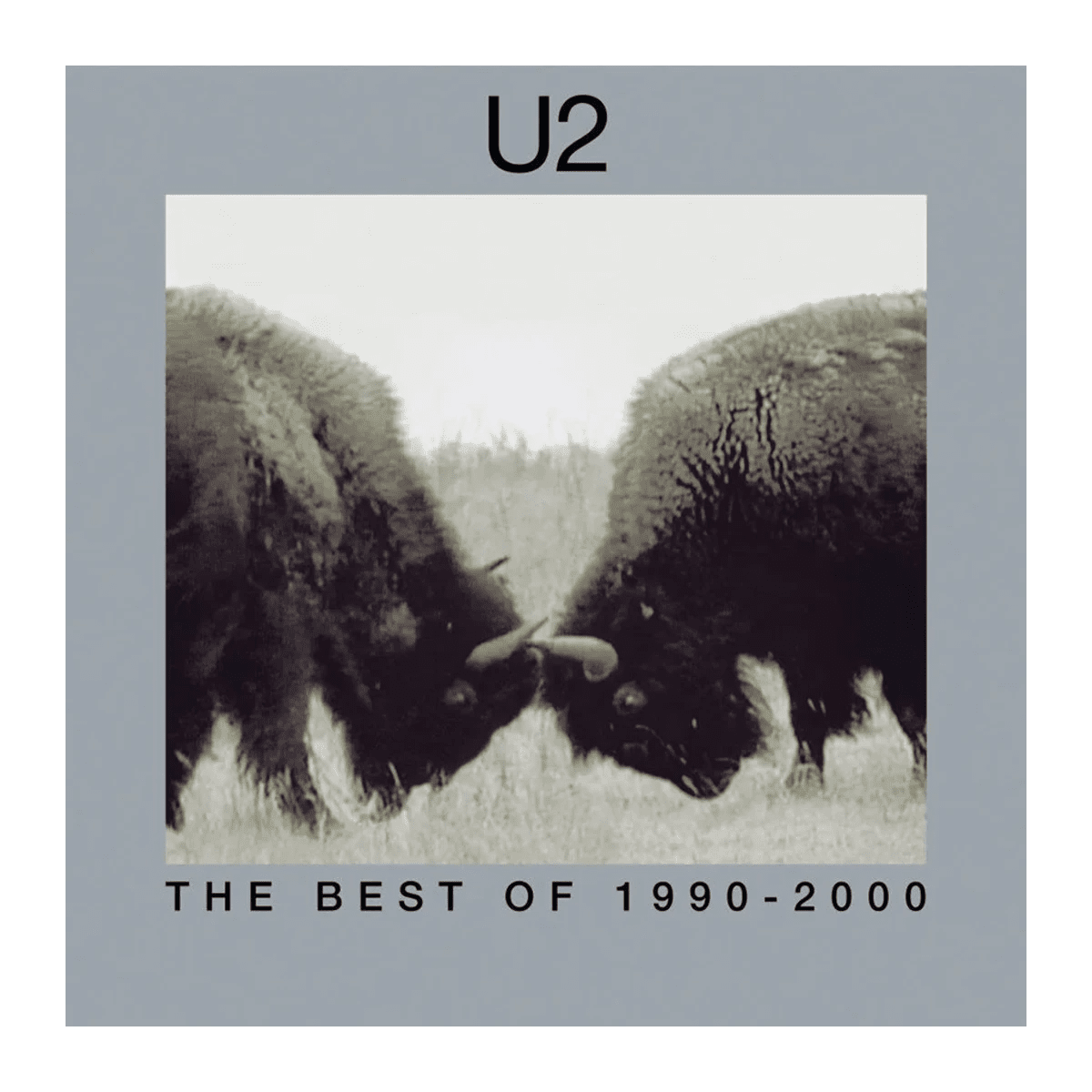 U2 - 2LP Vinilo "The Best Of 1990-2000" - D2fy - Direct To Fans - U2