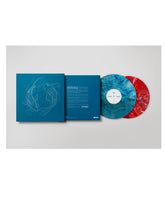 Veintiuno - 2LP Vinilo "El Último baile de Delirio y Equilibrio" - D2fy - Direct To Fans - D2fy