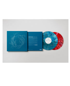 Veintiuno - 2LP Vinilo "El Último baile de Delirio y Equilibrio" - D2fy - Direct To Fans - D2fy