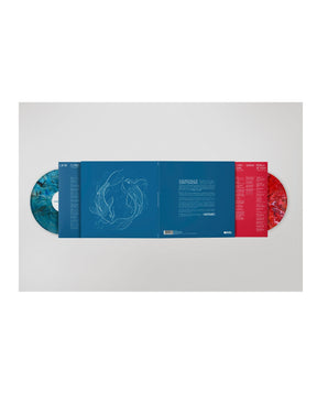 Veintiuno - 2LP Vinilo "El Último baile de Delirio y Equilibrio" - D2fy - Direct To Fans - D2fy