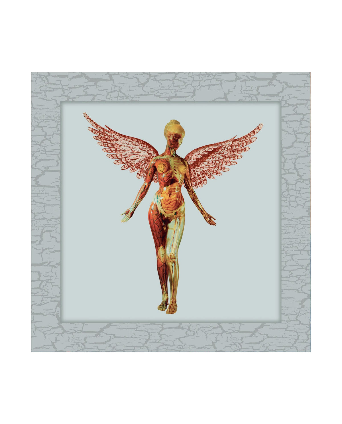 Nirvana - 2CD "In Utero" Ed. 30 aniversario - D2fy · Rocktud - Rocktud