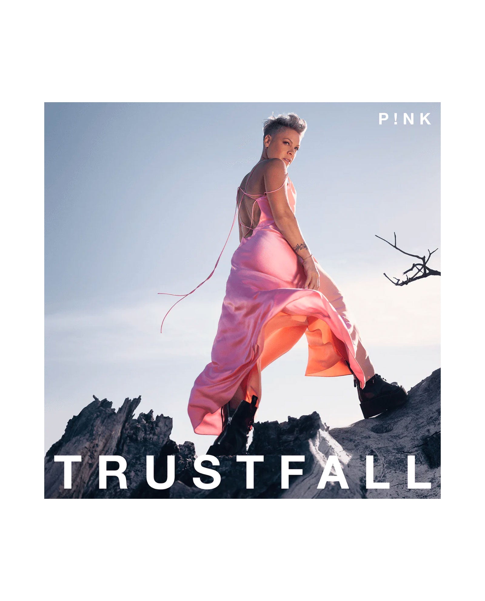 PINK - 2CD "Trustfall" Tour Deluxe Edition - D2fy · Rocktud - D2fy